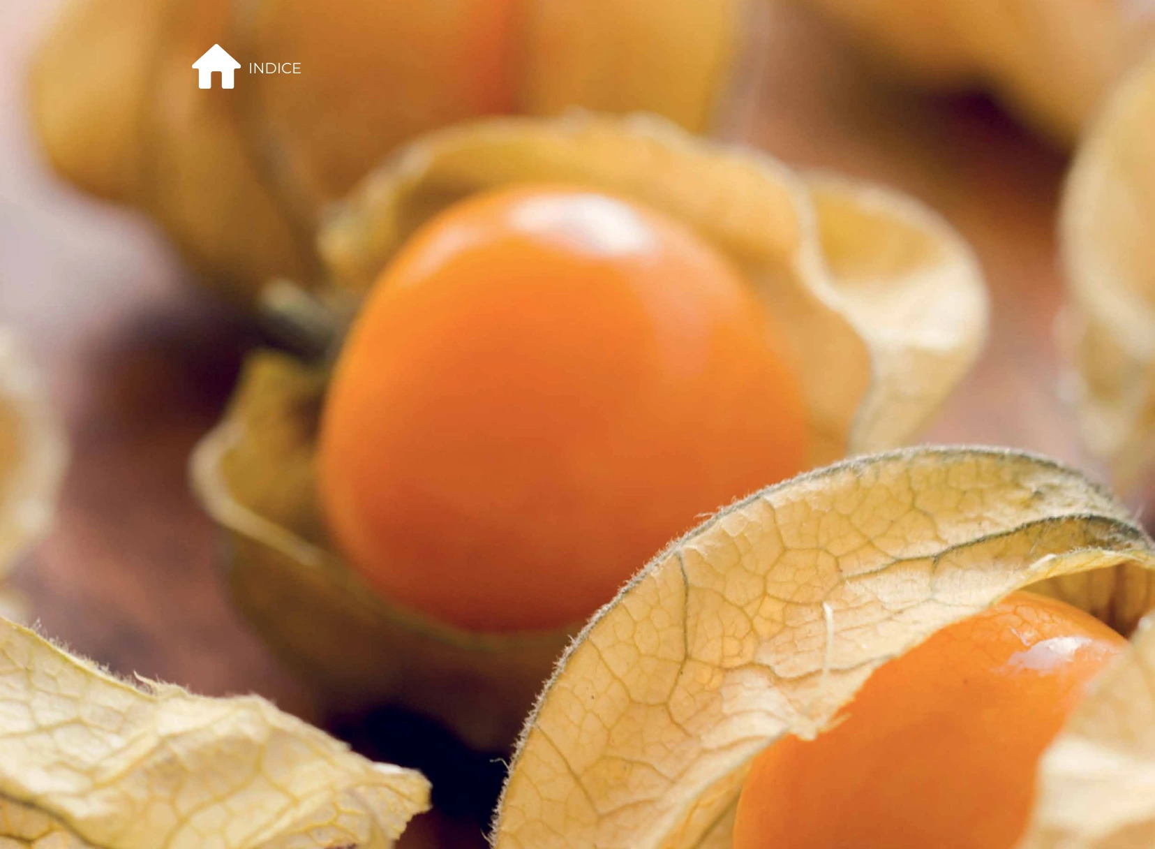 Superfrutas Amazónicas Fuxion Revitalización