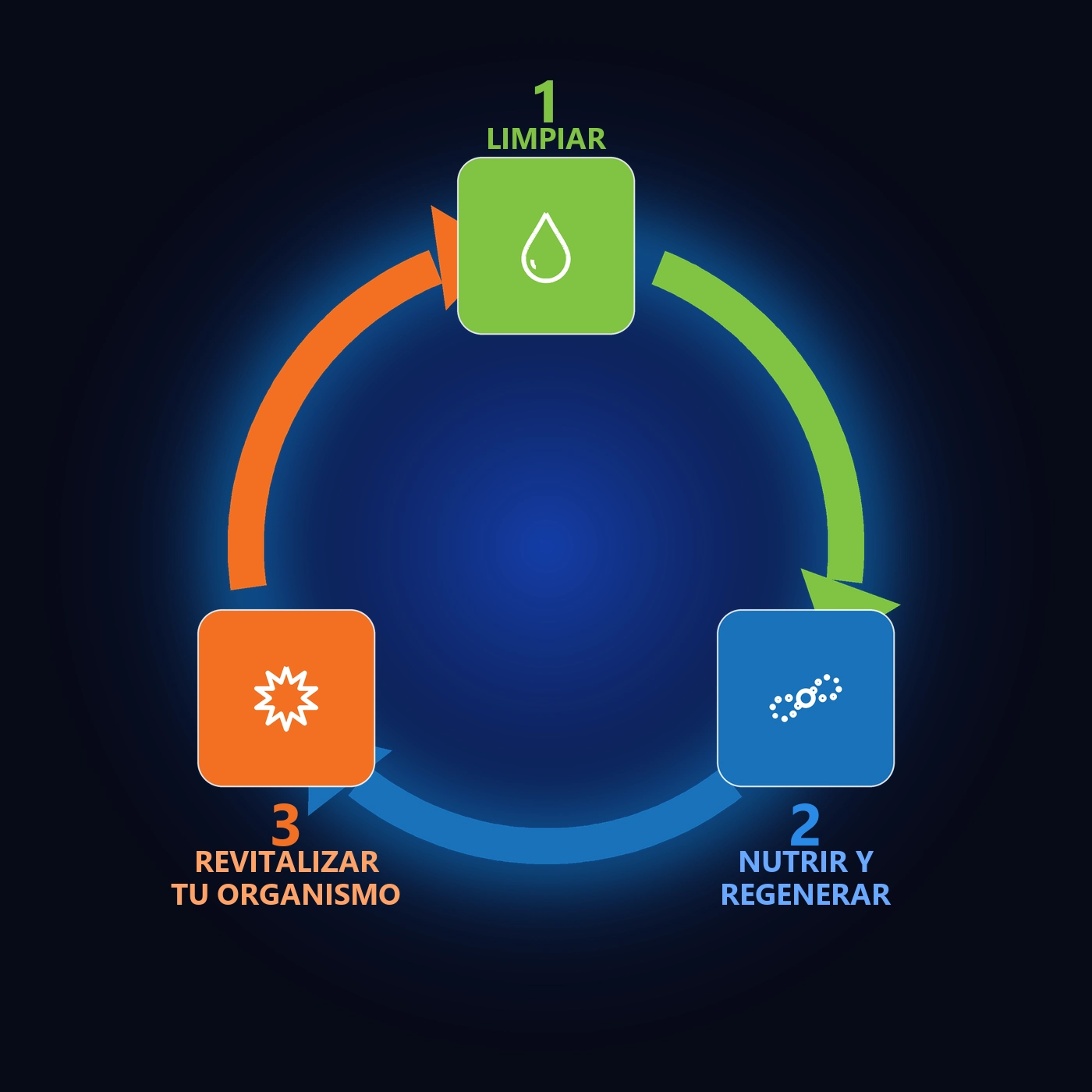 La Tríada de la Salud Plena - Sistema Base FIT40+: 1. Limpiar, 2. Nutrir y Regenerar, 3. Revitalizar